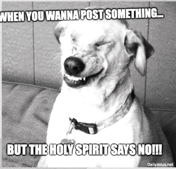 Screenshot 2019-08-09 at 6.31.00 AM