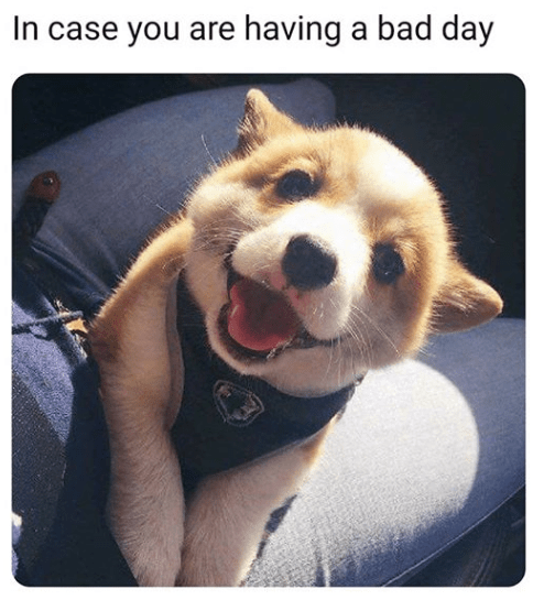 Screenshot 2019-08-13 at 6.52.45 PM