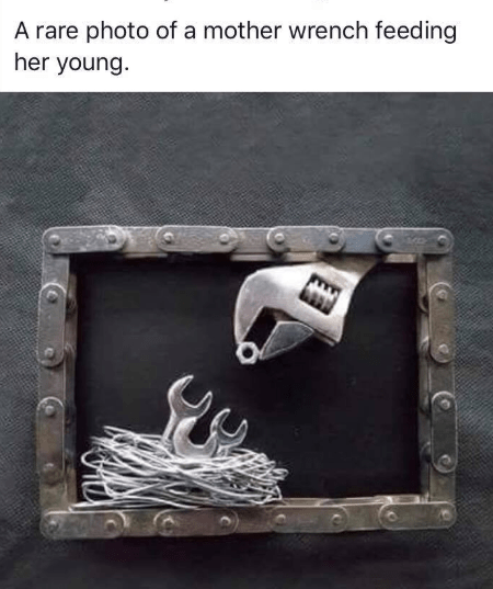 Screenshot 2019-02-24 at 5.57.54 PM