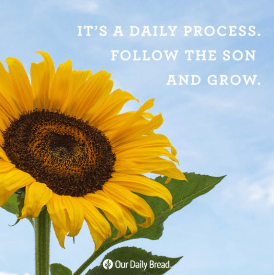 Screenshot 2019-07-12 at 1.17.30 PM