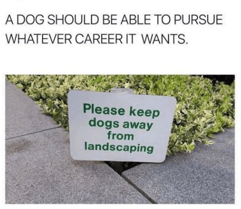 Screenshot 2019-07-21 at 4.15.56 PM