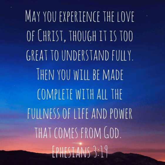 Screenshot 2019-08-01 at 6.18.46 PM