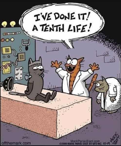 Screenshot 2019-10-04 at 8.05.20 AM