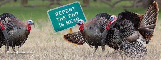 305592_10200158717114236_618497134_n