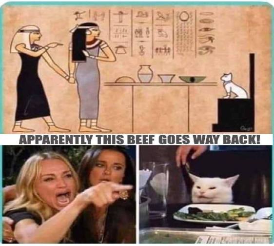 78240946_10157882357195850_971065253490065408_n