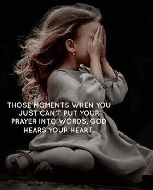 Screenshot 2019-11-03 at 3.33.53 PM