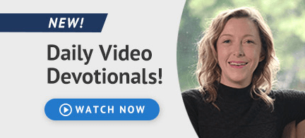 Screenshot 2019-11-28 at 5.29.57 PM