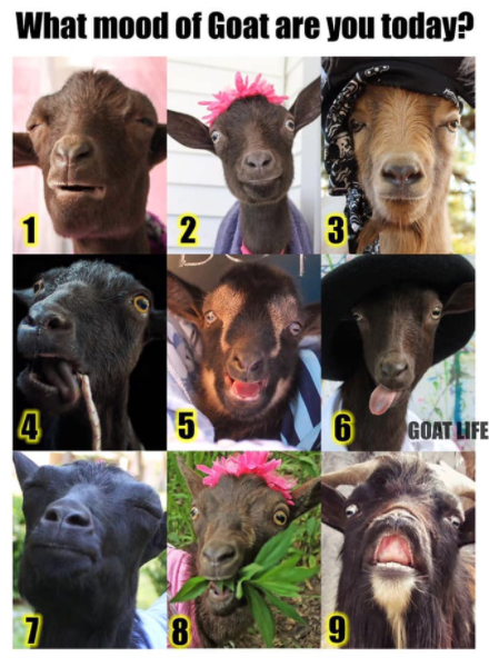 Screenshot 2019-11-09 at 8.38.12 PM