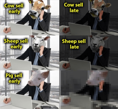 Screenshot 2019-12-05 at 9.08.23 AM