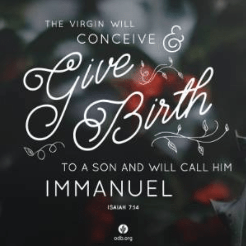 Screenshot 2019-12-21 at 1.23.59 PM