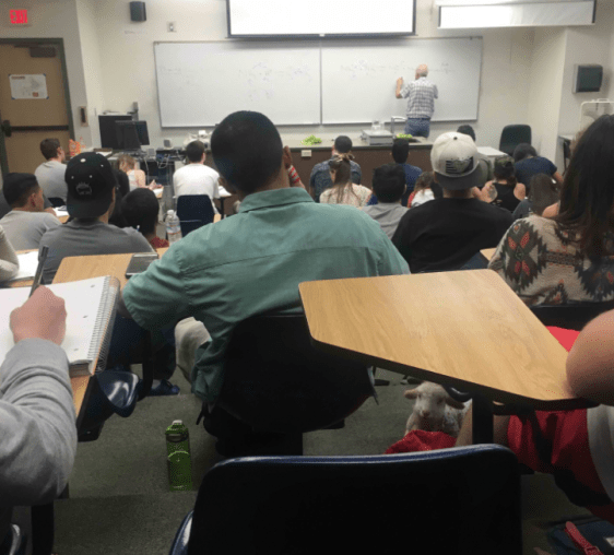 Screenshot 2020-01-02 at 8.40.17 AM