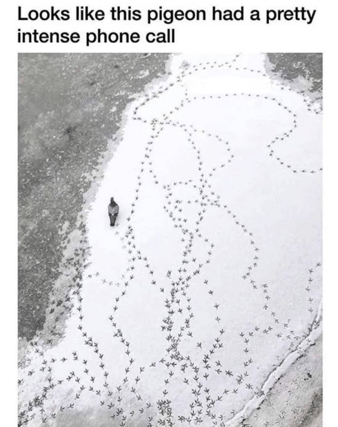 Screenshot 2020-02-25 at 10.16.23 AM