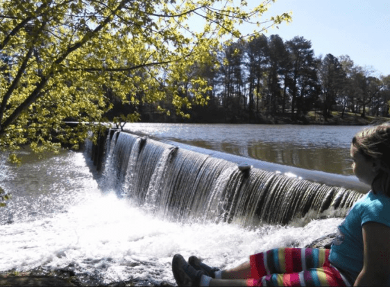 Screenshot 2020-03-21 at 10.58.56 AM