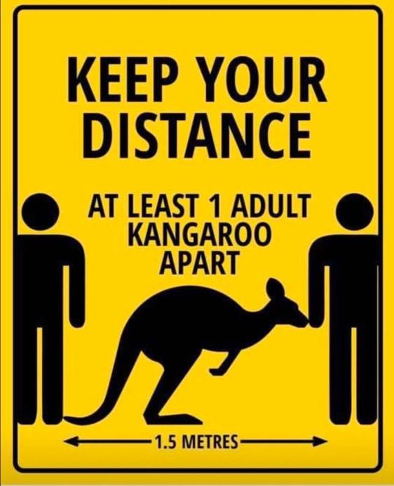 91562539_10158336168210850_2262567773437689856_n