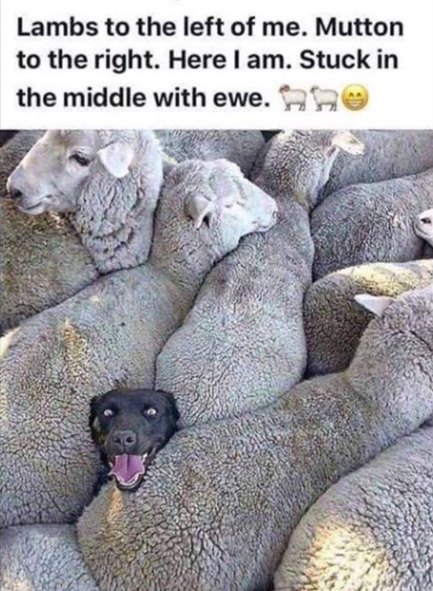 91765263_10222904817832538_584597486241316864_n