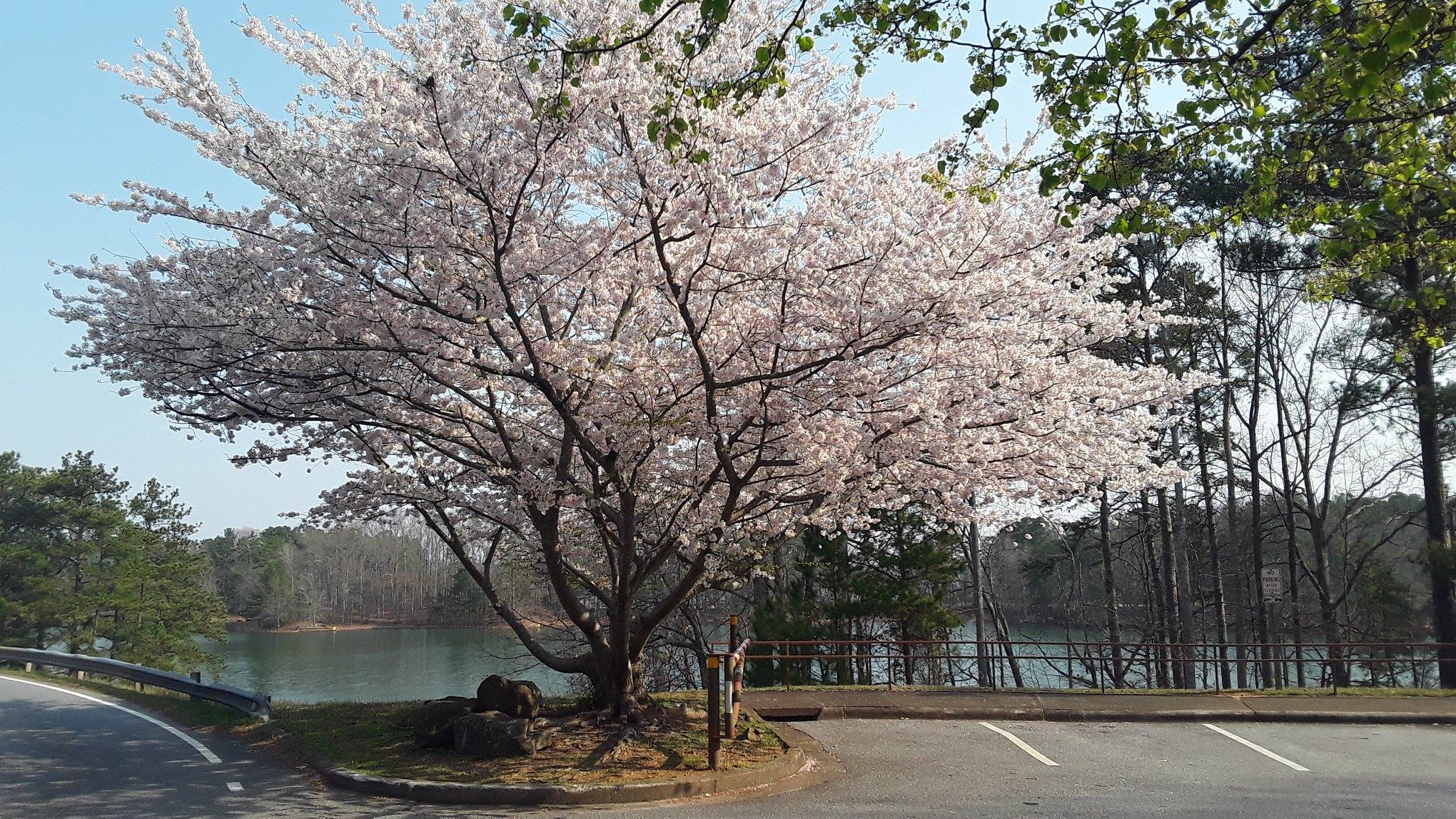 55533113_10219403931472567_6814752371508248576_o