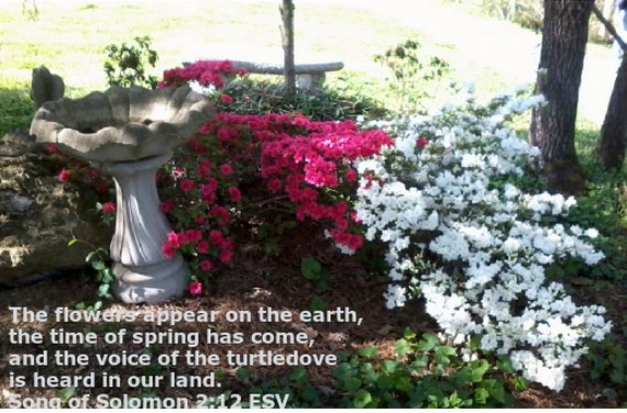 922793_10201221992895466_2065007440_n