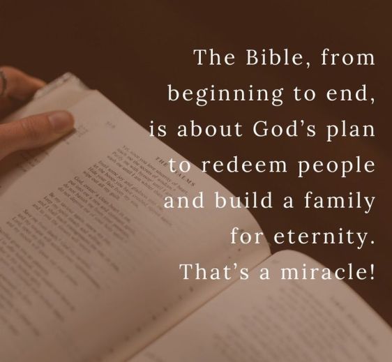 c99ad9148aa05911e9f51b650ab53aed