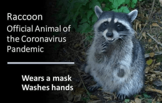 Screenshot 2020-05-01 at 7.53.33 PM