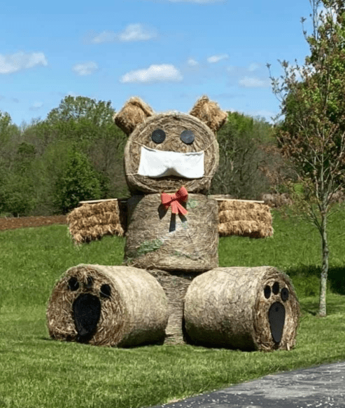 Screenshot 2020-05-12 at 10.01.02 PM