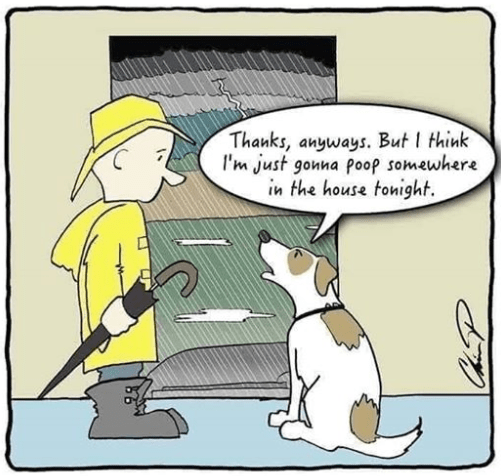 Screenshot 2019-10-21 at 5.14.51 AM