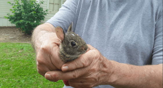 Screenshot 2020-06-22 at 7.21.47 AM