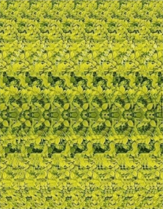 Screenshot 2020-07-21 at 8.27.27 PM