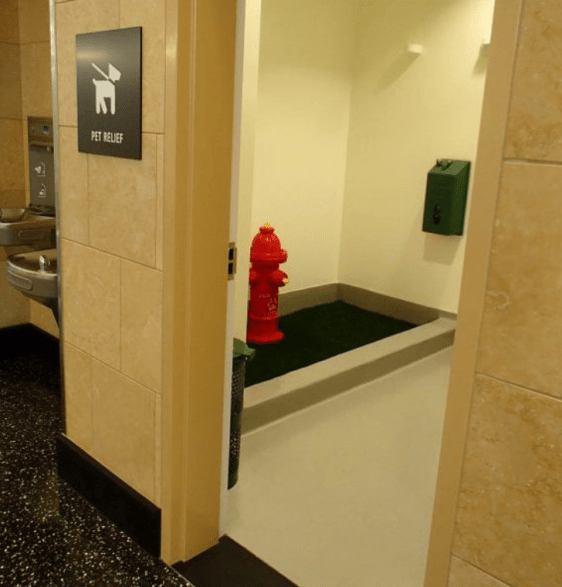 Screenshot 2020-07-24 at 12.00.18 PM