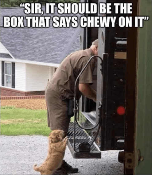 Screenshot 2020-08-10 at 6.29.00 AM