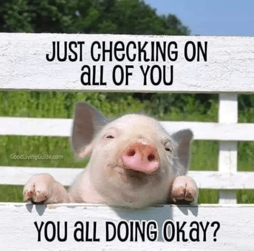 Screenshot 2020-08-10 at 8.52.57 PM